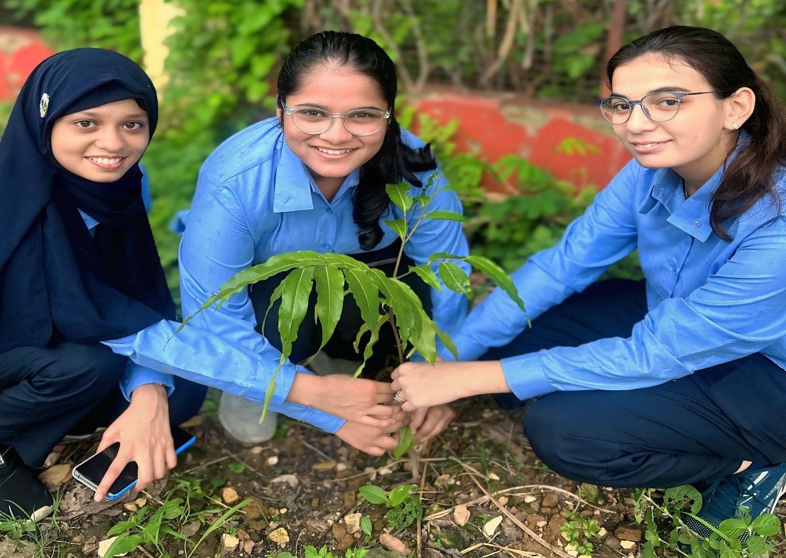 Plantation drive 2025